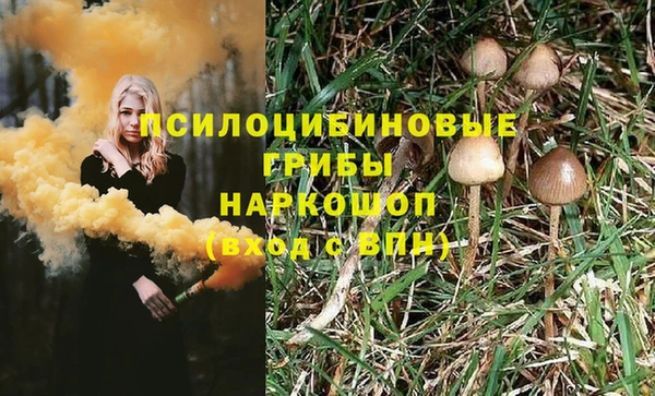 винт Покачи