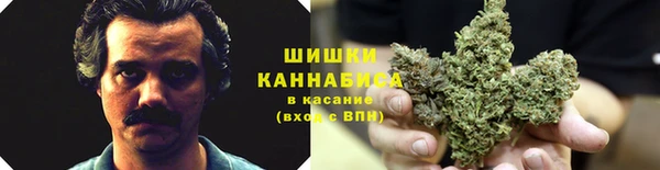 spice Покровск