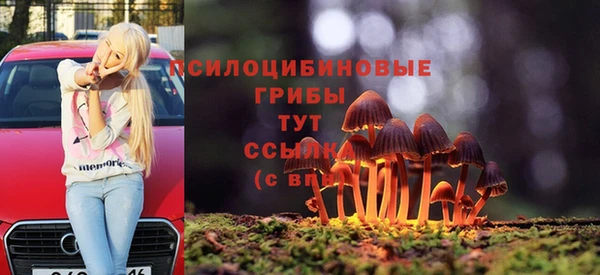 мдпв Алзамай