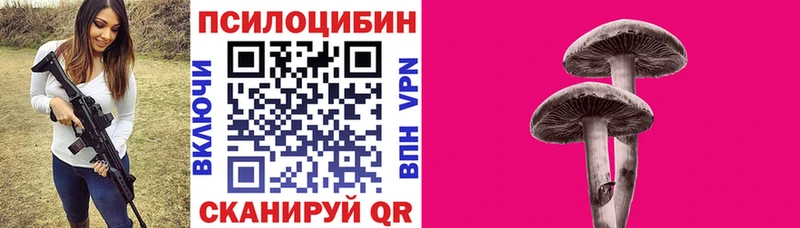 Псилоцибиновые грибы Psilocybine cubensis  Сарапул 