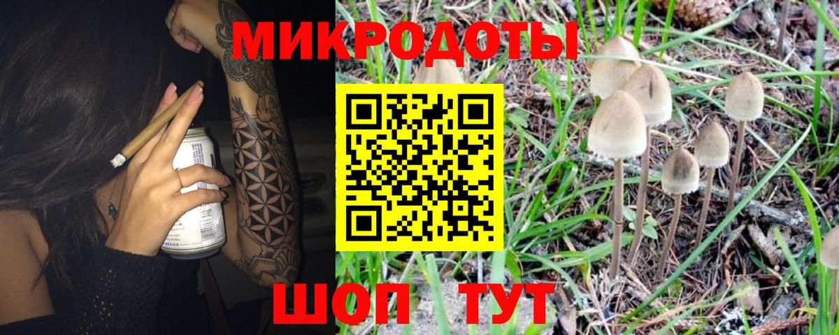 Псилоцибиновые грибы Psilocybine cubensis Сарапул
